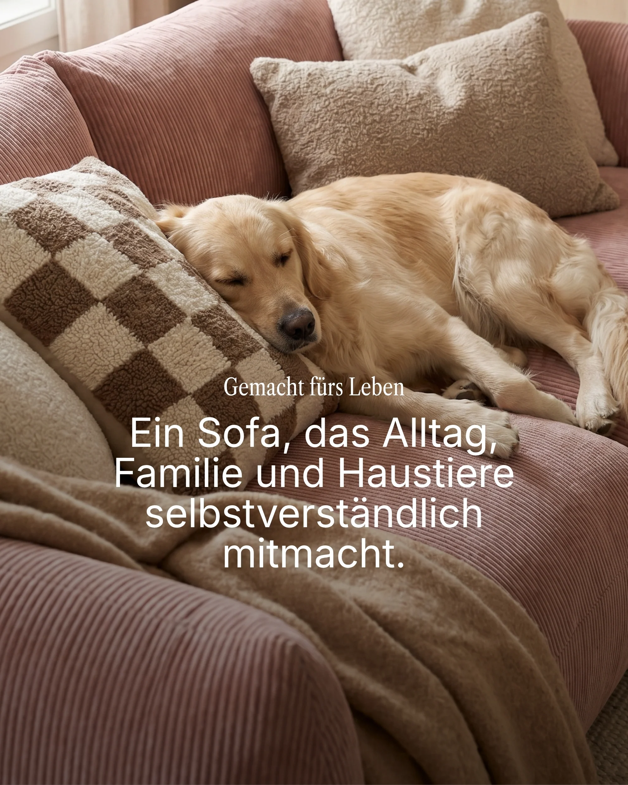 Modulares Sofa Luma L 4-Sitzer mit Schlaffunktion - Image 4